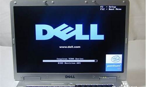 dell 装xp系统蓝屏_